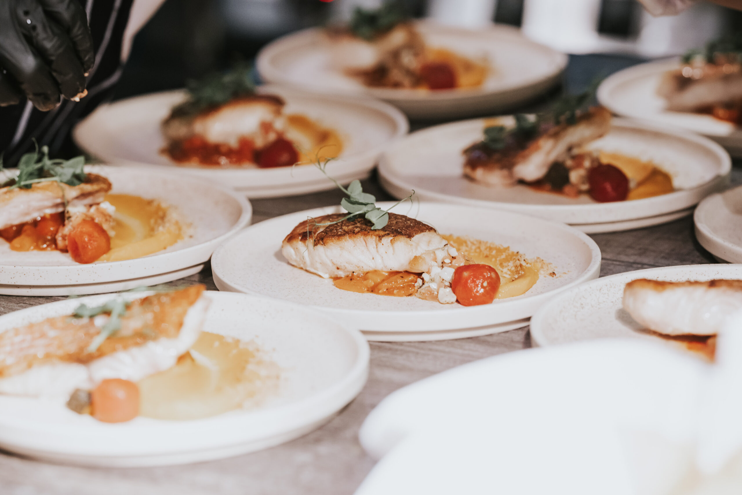 17102022_1AltitudeCoast_Colossal_Clean_182